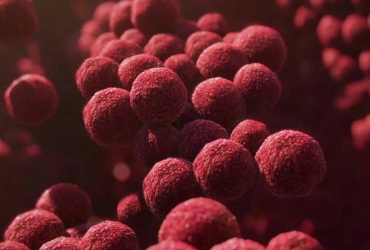 دور مستحضرات التجميل الصديقة للميكروبيوم في صحة البشرة